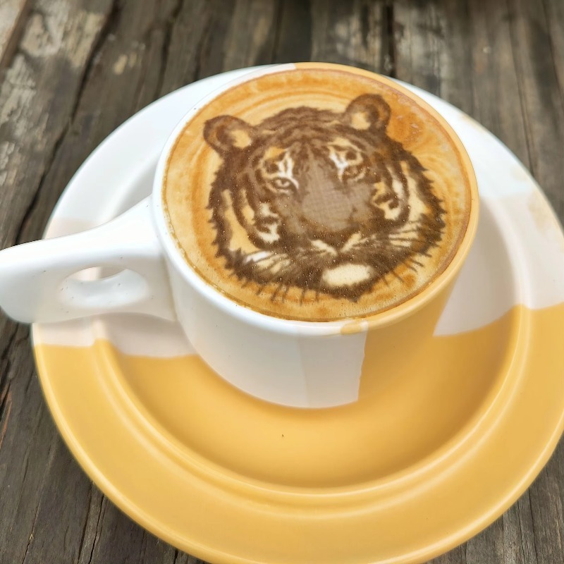 Nueva Tendencia en Equipamient - Coffee Equipment And Supplies reseña y precio